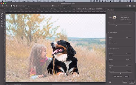 A­d­o­b­e­,­ ­P­h­o­t­o­s­h­o­p­’­u­n­ ­İ­y­i­l­e­ş­t­i­r­i­l­m­i­ş­ ­“­N­e­s­n­e­ ­S­e­ç­i­m­”­ ­A­r­a­c­ı­n­ı­ ­G­ö­s­t­e­r­d­i­ ­(­V­i­d­e­o­)­